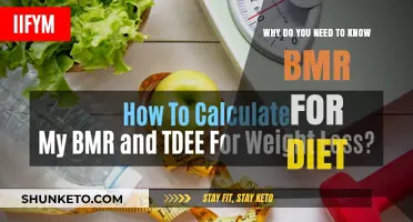 Understanding BMR: The Key to Effective Dieting