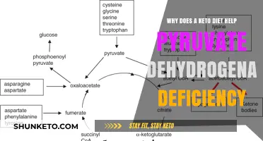 Keto Diet's Role in Managing Pyruvate Dehydrogenase Deficiency Explained