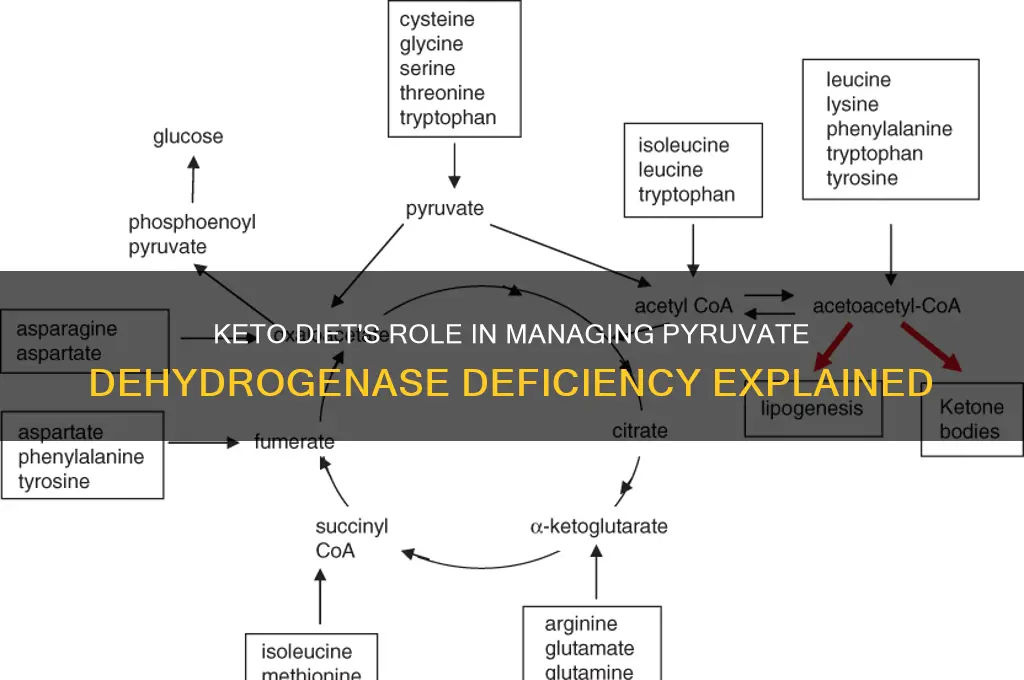why does a keto diet help pyruvate dehydrogenase deficiency