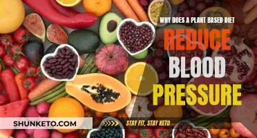 Plant-Based Diets: Lower Blood Pressure, Better Health