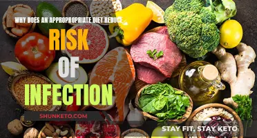 Nourish Your Body, Fortify Your Immune: The Power of Diet in Infection Prevention