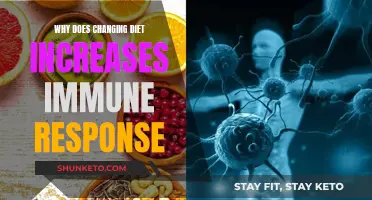 Diet Switch-up: Boosting Immune Response and Overall Health