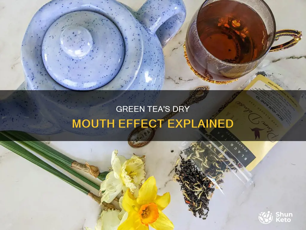 why does diet green tea makes my mouth dry