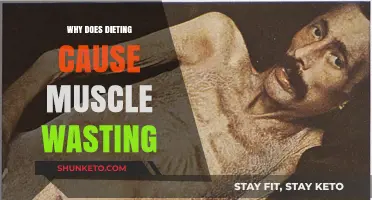 Dieting's Dark Side: Muscle Wasting Explained