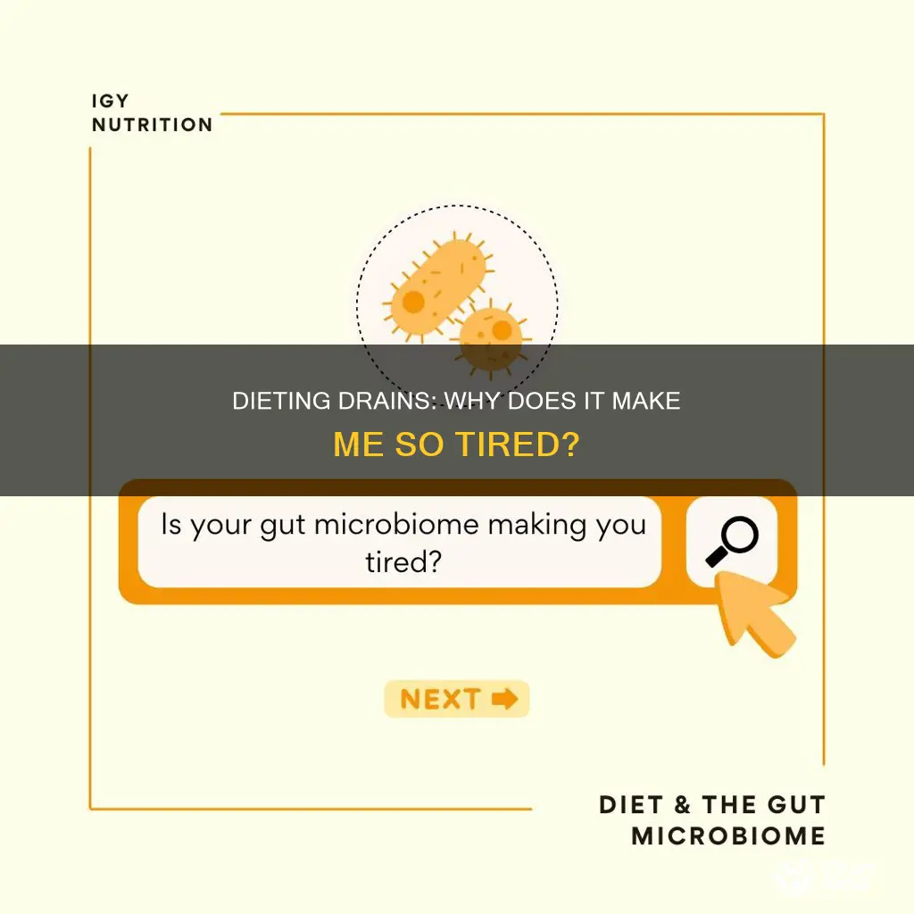 why does dieting make me so tired