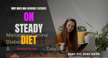 Understanding Glucose Fluctuations in Dogs on Steady Diets