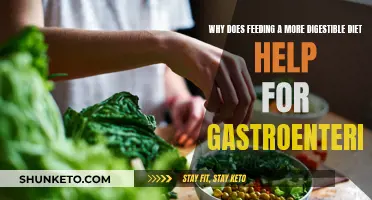 Digestible Diets: Easing Gastroenteritis