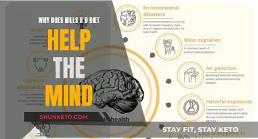Hill's B/D Diet: Brain-Boosting Nutrition