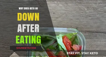 Why Keto Levels Drop After Eating: Understanding Post-Meal Ketosis Changes