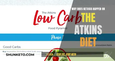 Ketosis and the Atkins Diet: Understanding the Connection