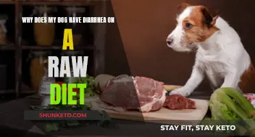 Raw Diet Risks: Dog Diarrhea Explained