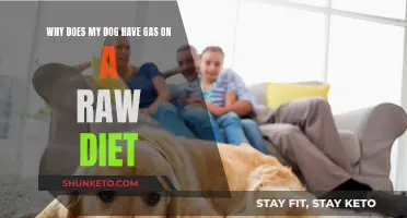 Raw Diet and Dog Gas: What's the Link?