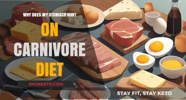 Stomach Pain on Carnivore Diet: What's the Deal?