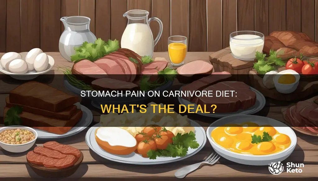 why does my stomach hurt on carnivore diet