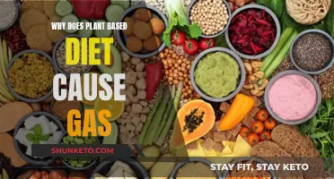 Plant-Based Diets: Gas, Causes, and Remedies