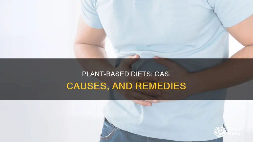 why does plant based diet cause gas