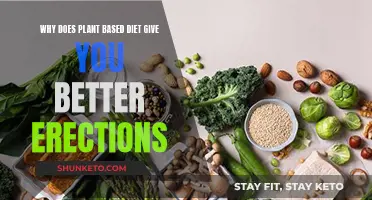 Better Erections: The Power of Plant-Based Diets