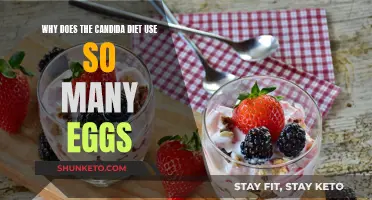 The Candida Diet's Egg Conundrum: Why So Many?