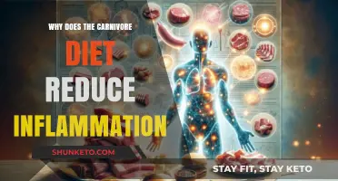 Meat-Based Diets: Reducing Inflammation, Improving Health