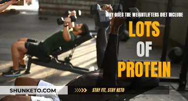 Protein Power for Weightlifters: Building Muscle Diet Essentials