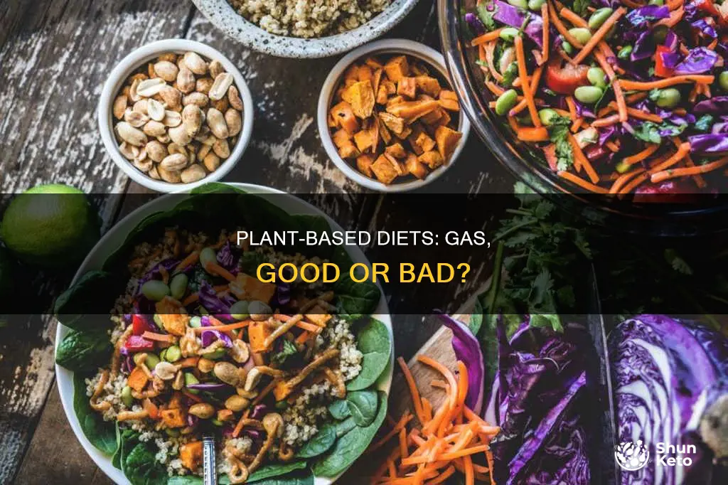 why does whole plant based diet gives you gassy