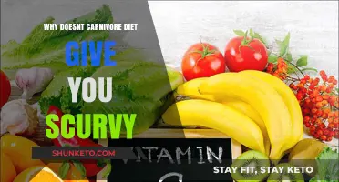 Meat-Based Diets: No Scurvy Risk