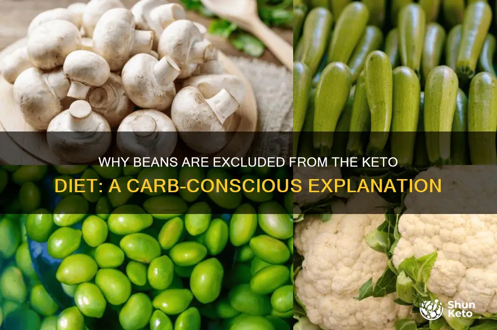 why doesnt keto diet include beans