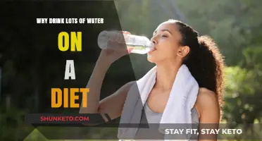 Hydration: A Key to Weight Loss Success