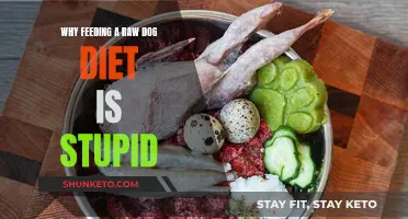Raw Dog Diet: Risky, Unbalanced, and Stupid