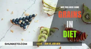 Figs and Grains: A Healthy Partnership