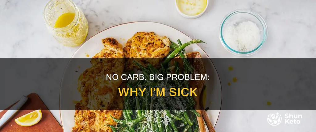 why has my no carb diet made me sick