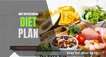 Unraveling the Secrets: Hypertension Diet Plan