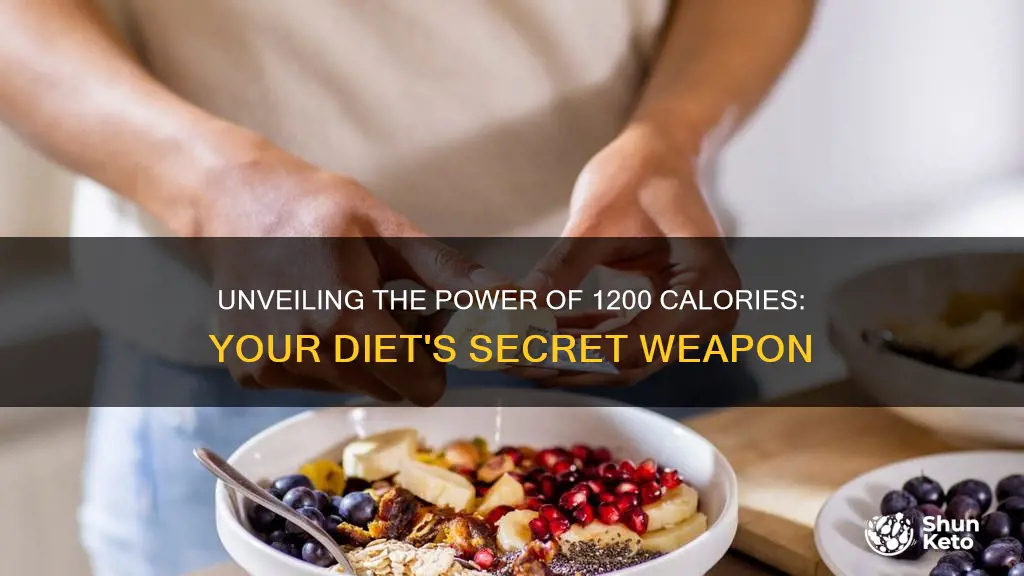 why is 1200 calories a day important when dieting