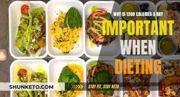 Eating 1200 Calories Daily: A Key to Weight Loss Success