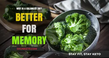 Eating for Memory: Balanced Diets Boost Brainpower