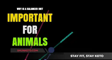 Nutrition Balance: Key to Animal Health