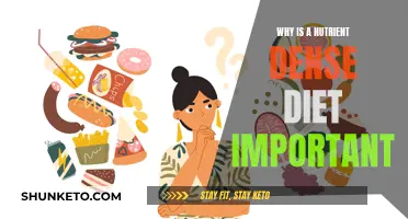 Nutrient-Dense Diets: The Key to Optimal Health
