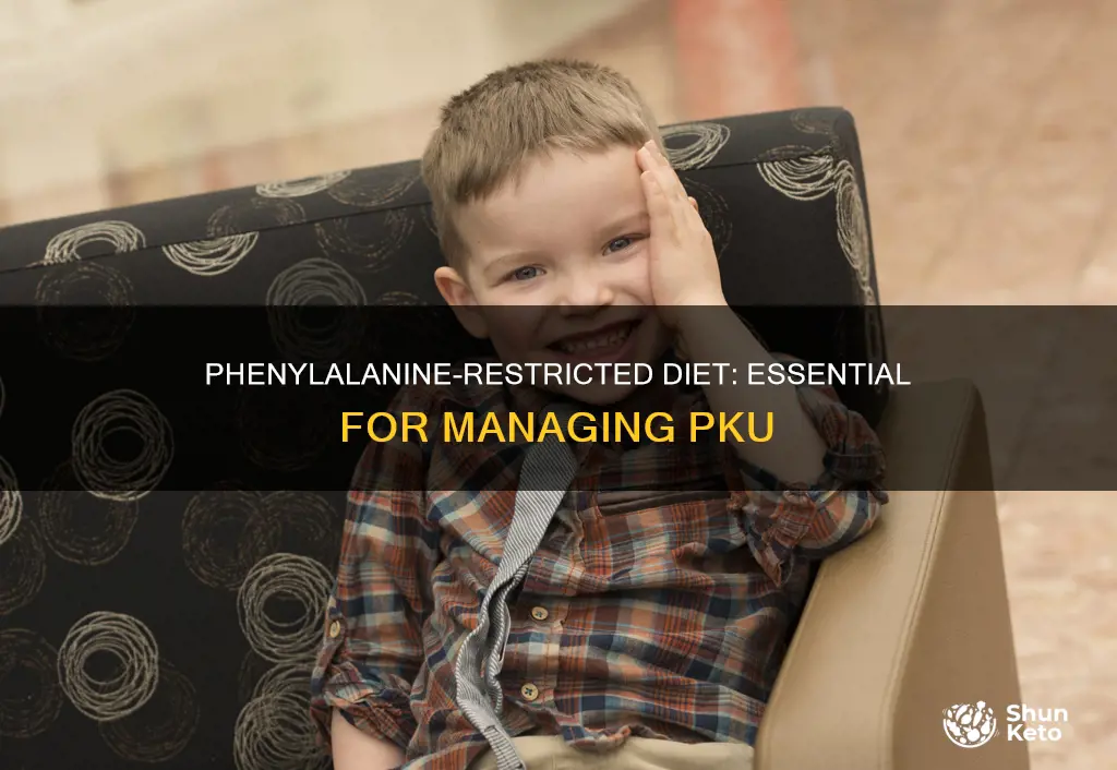 why is a phenylalanine restricted diet important