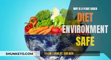 Plant-Based Diets: Eco-Friendly, Healthy, and Delicious