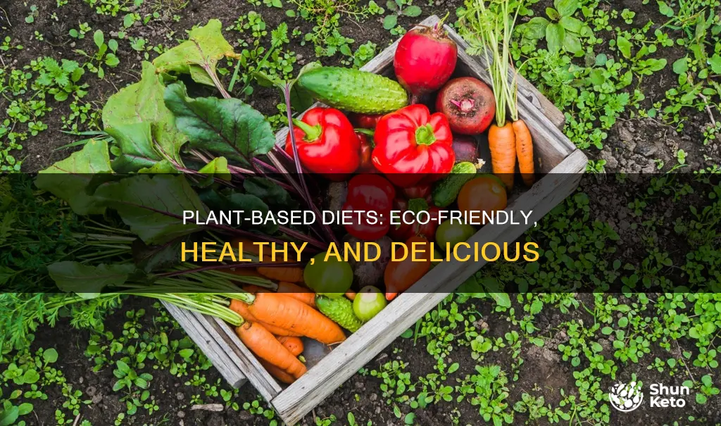 why is a plant based diet environmentally safe