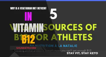 Vegetarian Diets Lack Vitamin B12: What to Know