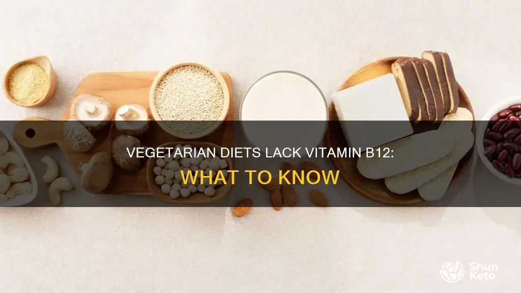 why is a vegetarian diet deficent in vitamin b12