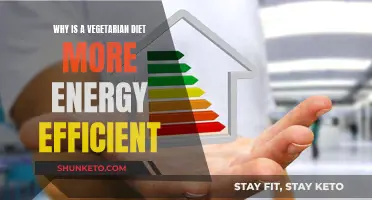 Vegetarian Diets: Energy-Efficient and Environmentally Friendly