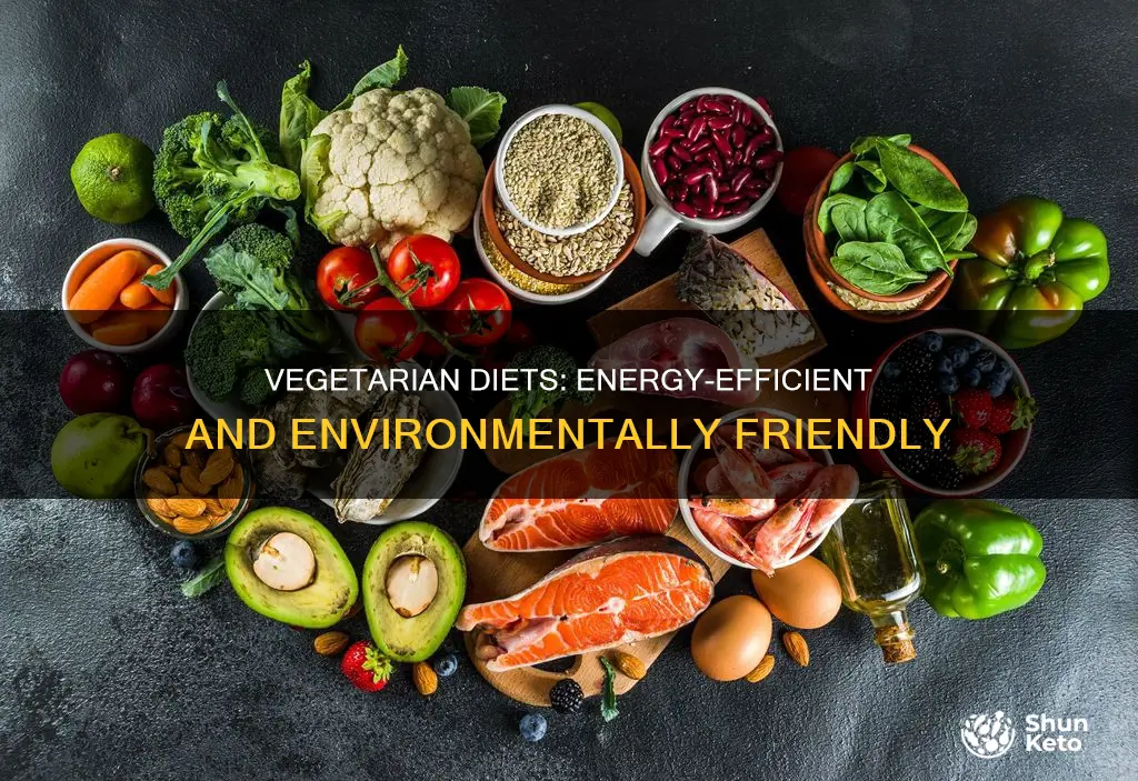 why is a vegetarian diet more energy efficient