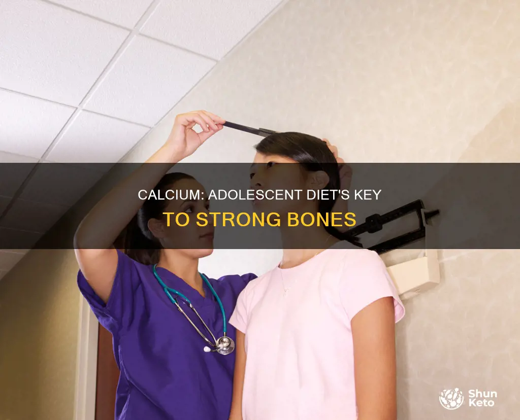 why is calcium important in an adolescent diet