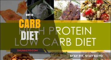 Carb Diet: Friend or Foe?