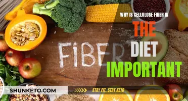 Cellulose Fiber: Diet's Secret Weapon