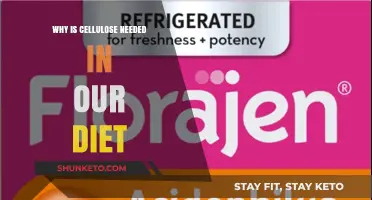Cellulose in Diet: The Secret to Healthy Digestion