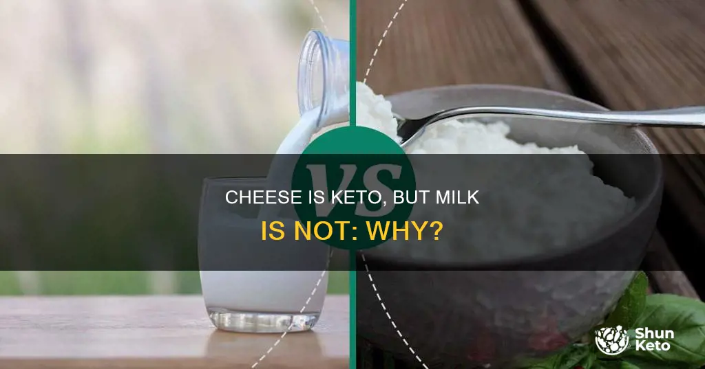 why is cheese keto but not milk