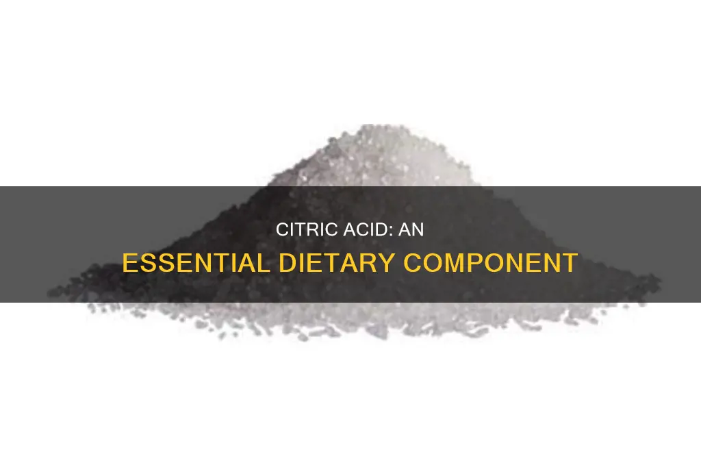 why is citric acid important in our diets